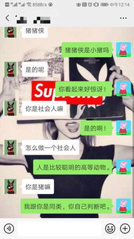python創建微信機器人