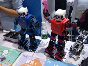 炎熱夏季 2019北京機器人展燃爆全場